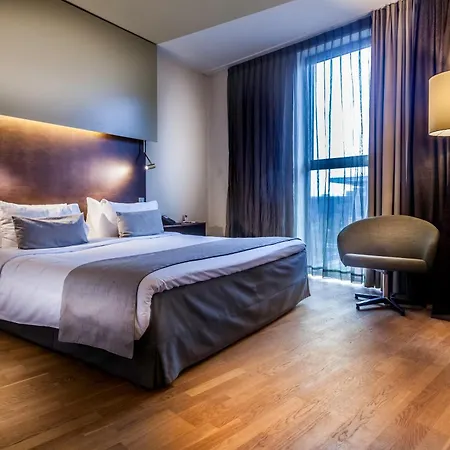 Artemis Hotel 4*